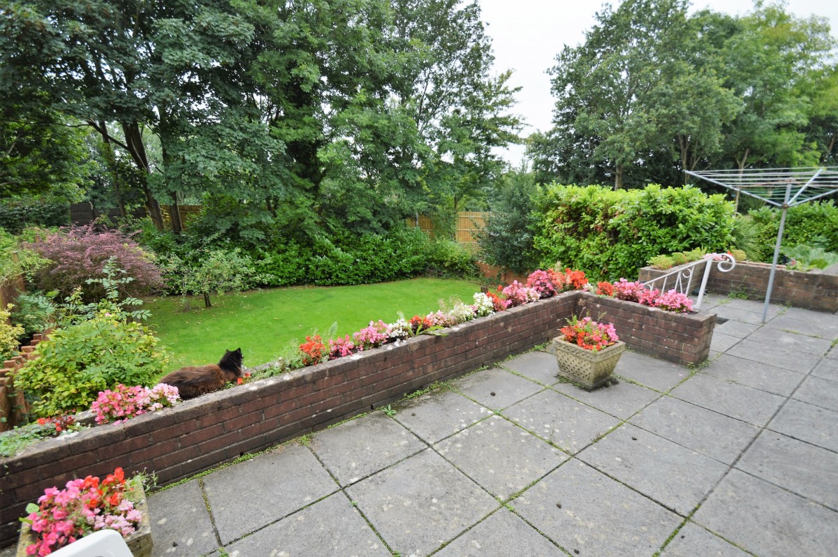 DSC_0202.JPG